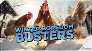 Keep Your Chickens Entertained in Winter in 4 Easy Ways!