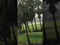 Amazing nazare| #train #railway #indianrailways #ytshorts