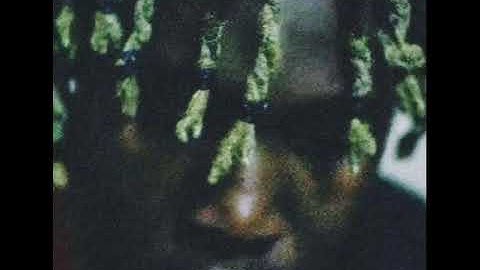 Don Toliver - Farewell (All Snippets)