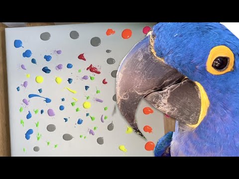 HOW TO DRAW A PARROT PORTRAIT IN TIMELASPE /ACRYLIC PAINTING TECHNIQUE REACTION FROM HYACINTH MACAW!