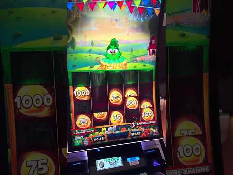Disfruta de un bono gratis en PinUp Casino: ¡Juega en línea desde Ecuador!
