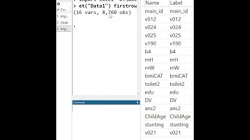 How to open Excel data in Stata | Data source in the video description