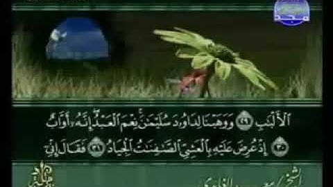 سورة ص 38 - 114 سعد الغامدي - قراءة مرتلة