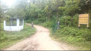 Kodala tea garden, Rangunia,Chittagong,Aro films.