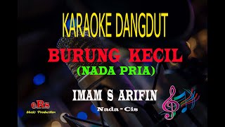 Karaoke Burung Kecil Nada Pria - Imam S Arifin (Karaoke Dangdut Tanpa Vocal)