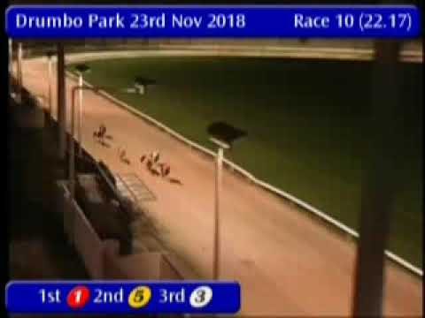 IGB - greyhound-data.com  23/11/2018 Race 10 - Drumbo Park