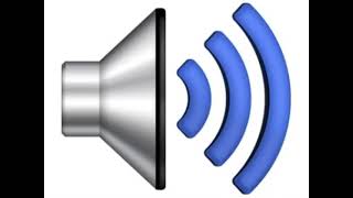 Censor Beep Sound Effect