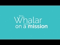 Innovation at Whalar