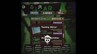 Tanning Mirror On Stock