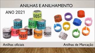 Palestra Concedida ao curso de veterinária da Universidade Cruzeiro do Sul/SP em 08/03/2021