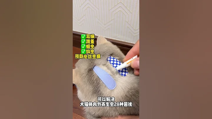 【皮咔丘是只喵】哪个养猫人能控制住不让猫咪上床？ - 天天要闻