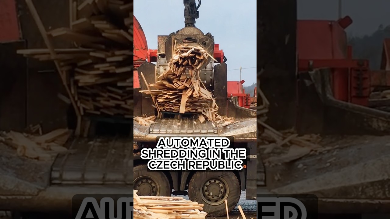 Precision in Action: Pallet Shredding Machine at the Sawmill