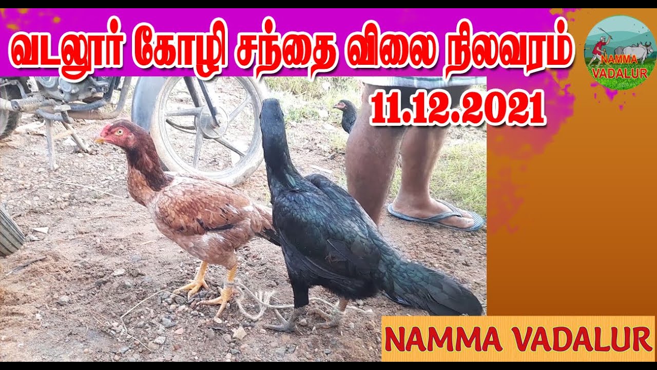 வடலூர் கோழி சந்தை விலை நிலவரம்11.12.2021