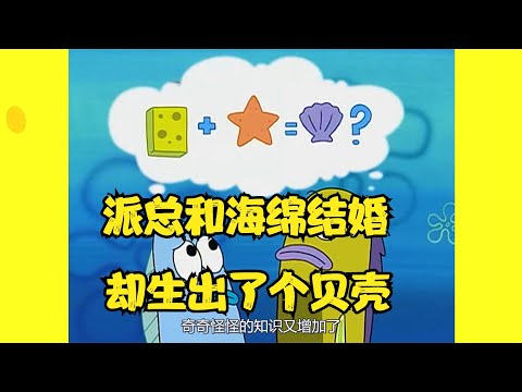 海星和海绵结婚，却生出来会飞的贝壳