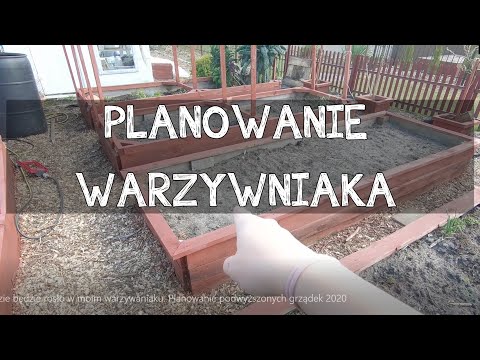 Wideo: Uprawa Warzyw W Wąskich Grządkach, Jak Efektywnie Zaplanować Ogród Warzywny