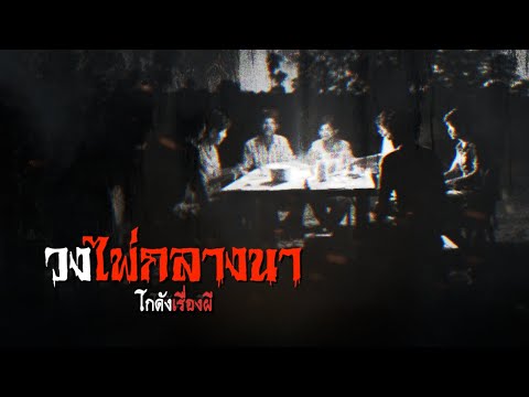 วงไพ่กลางนา 