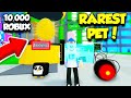 I Spent 10,000 ROBUX To Get The RAREST LEGENDARY PET In Texting Simulator! (Roblox)