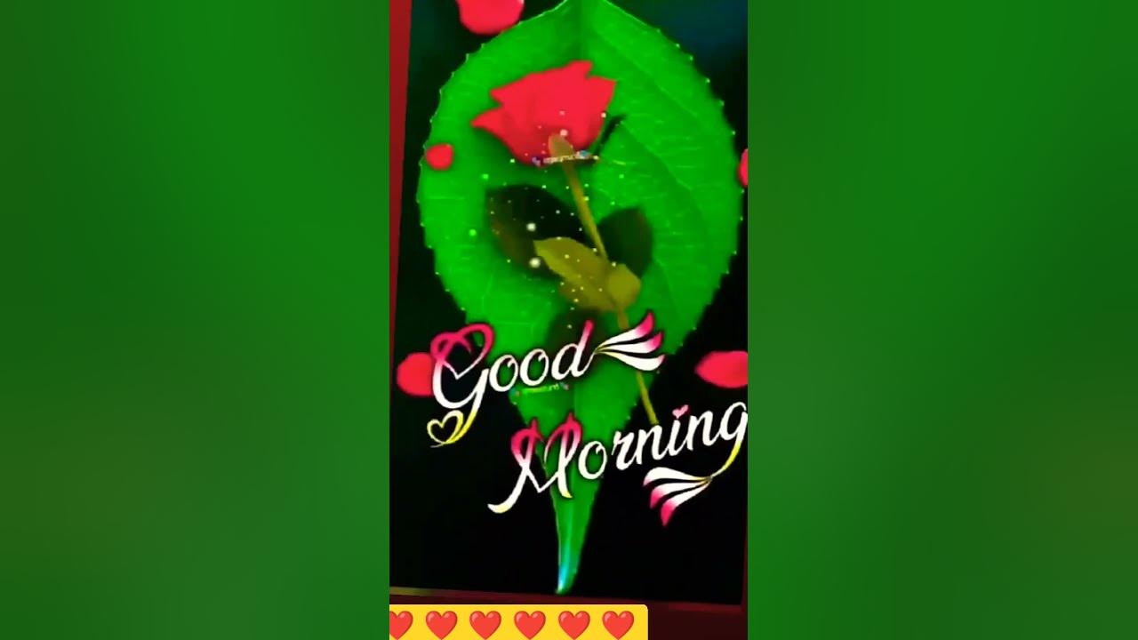 Good morning love song status ️ ️!! youtube shortvideo shortfeed viral YouTube