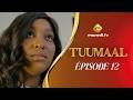 Série - Tuumaal - Episode 12 - VOSTFR