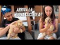 ANDIAMO A CONOSCERE LA NUOVA CUCCIOLA!