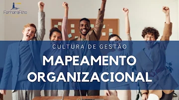 Como é representado o resultado do mapeamento organizacional?