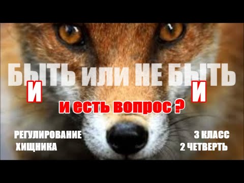 Видео: Евгений Степанов, Зөвлөлтийн сөнөөгч нисгэгч: намтар