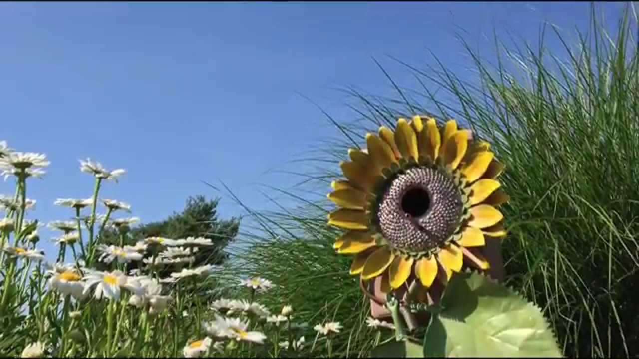 pop rivet projects promotion video YouTube