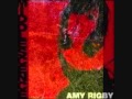 Amy Rigby - The Summer of My Wasted Youth