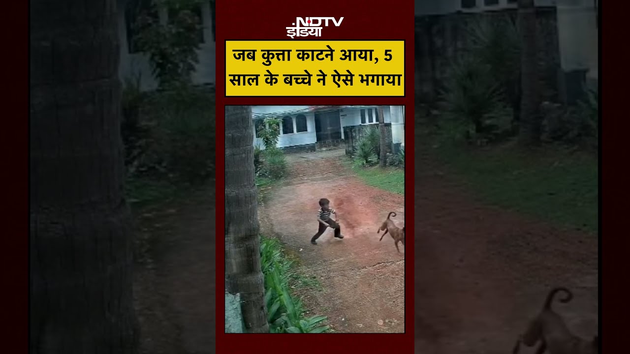 Dog Attack CCTV: 5 साल का मासूम बना हीरो, आवारा कुत्ते के हमले से खुद को बचाया | 