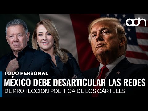 Mexico must dismantle the cartels' political protection networks | Todo Personal