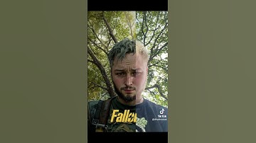 What I look like as a fallout character