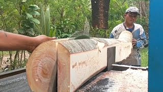 Penggergajian kayu sengon dengan mudah pakai gergaji serkel rakitan