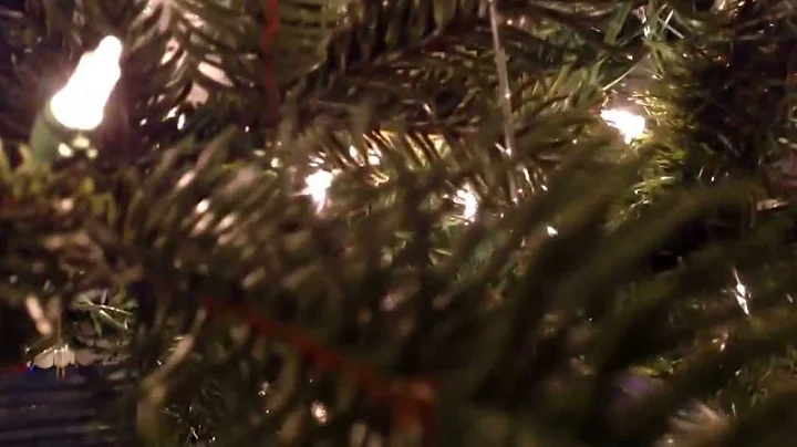2013 Christmas tree
