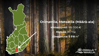 Myytävänä hyväkasvuinen ja hoidettu määrä-ala metsäkiinteistöstä Orimattilassa 🌲