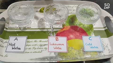 7th class activity 4.1of chapter heat