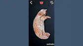 Play games on android with sashaabc