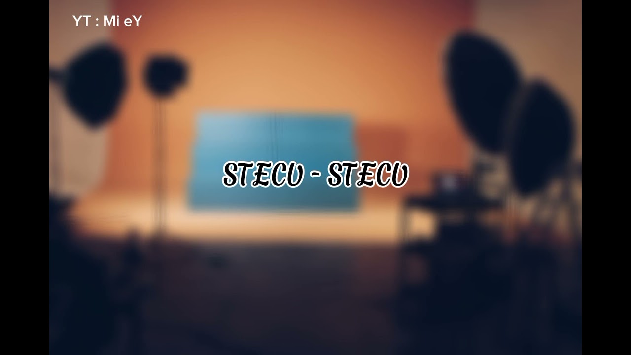 STECU - STECU ( COVER INSTRUMENT )