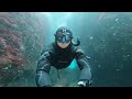 Spectre dive boat snorkeling  freediving and scuba diving with hollywood divers