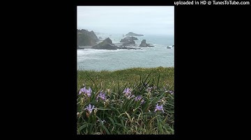 A Course In Miracles Text- Introduction