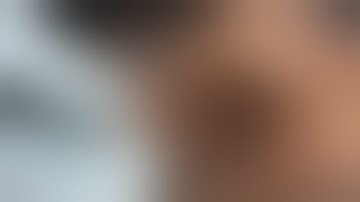 Bird digestive system