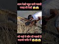 Aaj Dekho ketani badi machli pakd li #farming #fishing #viral #agriculture #facts #freefire 😱😱