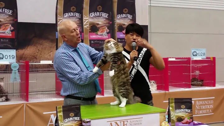 Larry Adkison   CFA Judge