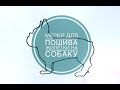 Мерки для пошива Жилетки на собаку