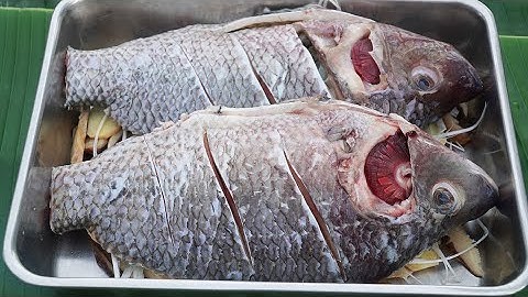 Steam TILAPIA Fish With Ginger & Soy Sauce | Steam TILAPIA Fish Recipe  | Tasty Food