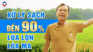 Thoát nghèo nhờ Ô 2 Tầng xử lý đến 90% Lúa lộn, lúa ma | AQ