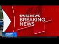 Woman killed by falling tree in Plymouth
