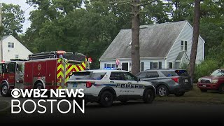 Woman killed by falling tree in Plymouth