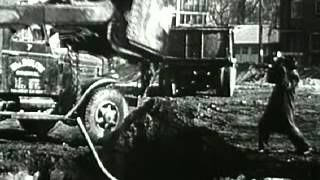 Photography 1946