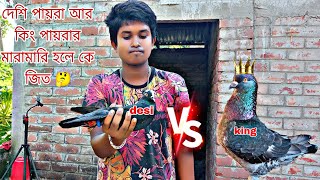 বিবেকের দেশি পায়রা vs আমার কিং পায়রার মারামারি ? King pigeon and desi pigeon fightmyworldkabutar