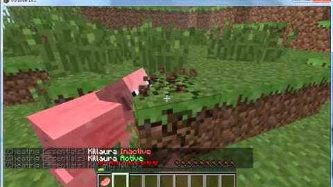 Minecraft Mod Review Showcase:Cheating Essentials